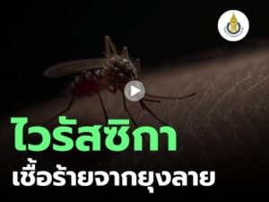 ไวรัสซิกา (zika virus) โดย รศ.นพ.ณรงค์เดช โฆษิตพันธวงศ์ สาขาวิชาอายุรศาสตร์ คณะแพทยศาสตร์ มหาวิทยาลัยสงขลานครินทร์